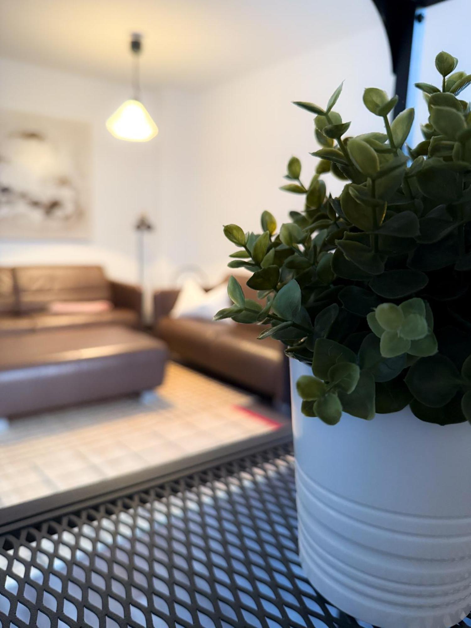 Alexxanders Apartments & Studios 켐니츠 객실 사진